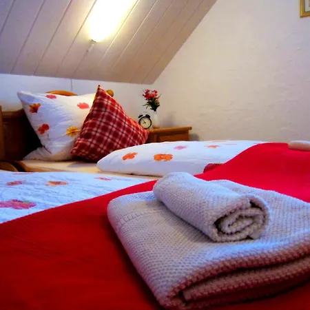 Landgasthof Sonne 3* Mahlberg